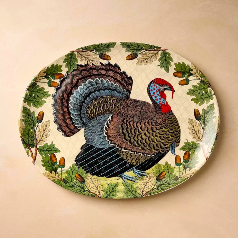 John Derian Turkey with Acorn Stoneware Oval 19”X 14” Large Serving Platter NWT
